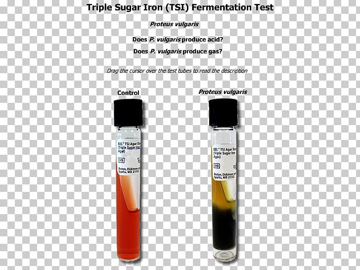 Test Tubes PNG, Clipart, Art, Liquid, Test Tubes, Tsi Free PNG Download