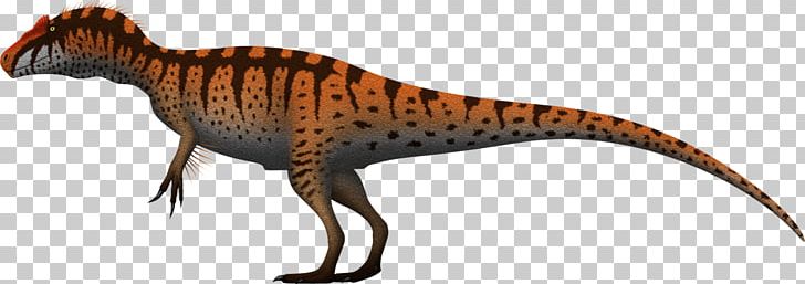 Tyrannosaurus Allosaurus Giganotosaurus Metriacanthosaurus Torvosaurus PNG, Clipart, Allosaurus Europaeus, Animal Figure, Dinosaur, Diplodocus, Epanterias Free PNG Download