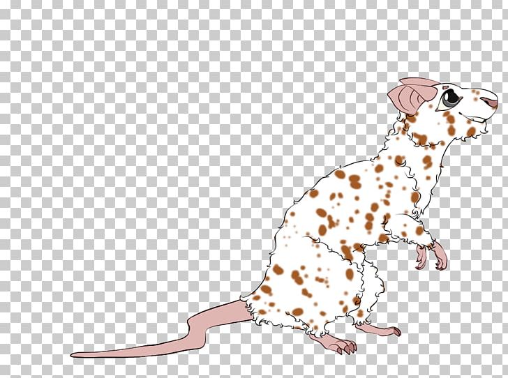 Dalmatian Dog Puppy Mammal Canidae Dog Breed PNG, Clipart, Animal, Animals, Breed, Canidae, Carnivora Free PNG Download