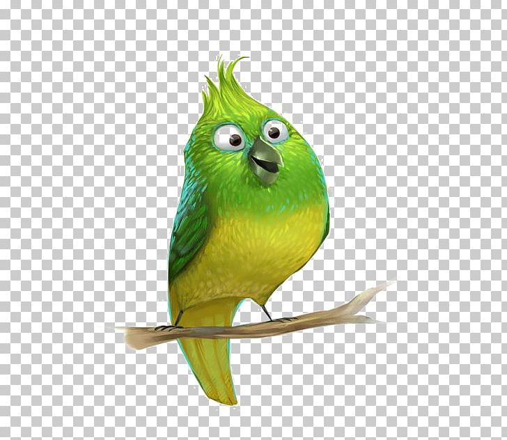 Parrot Bird Parakeet Cartoon PNG, Clipart, Animal, Beak, Bird, Birds, Cartoon Parrot Free PNG Download