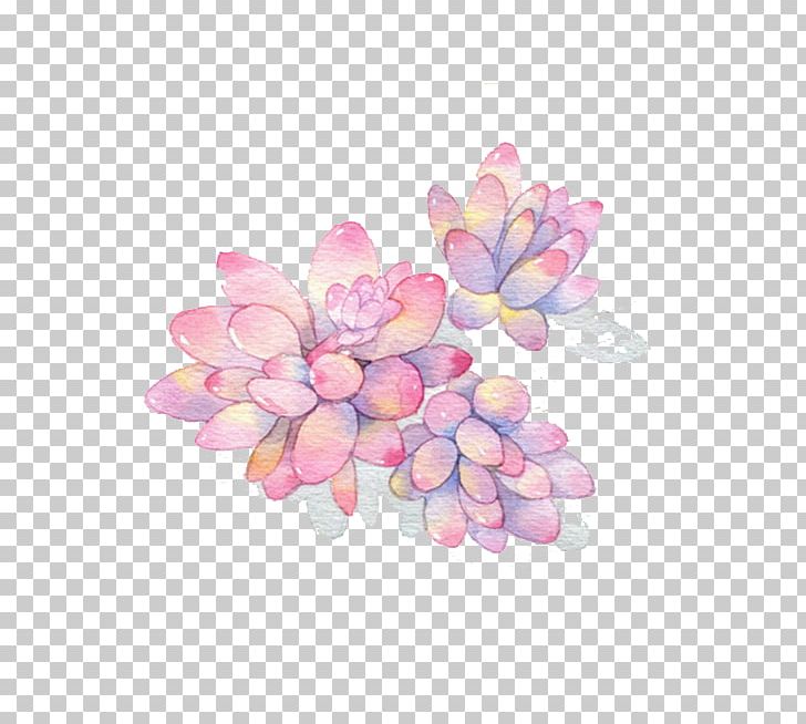 Succulent Plant Watercolor Painting PNG, Clipart, Cartoon, Color, Decoration, Download, Drawing Free PNG Download