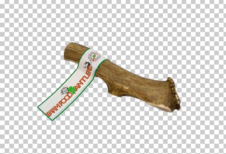 Dog Antler Red Deer Food PNG, Clipart, Animals, Antler, Bone, Chewing, Cold Weapon Free PNG Download