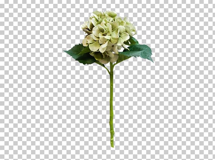 Hydrangea Floral Design Cut Flowers Flower Bouquet PNG, Clipart, Artificial Flower, Blue Hydrangea, Cape Jasmine, Cornales, Cut Flowers Free PNG Download