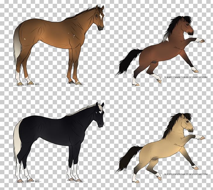 Mustang Stallion Mare Foal Pony PNG, Clipart, Animal, Foal, Horse, Horse Like Mammal, Horse Supplies Free PNG Download