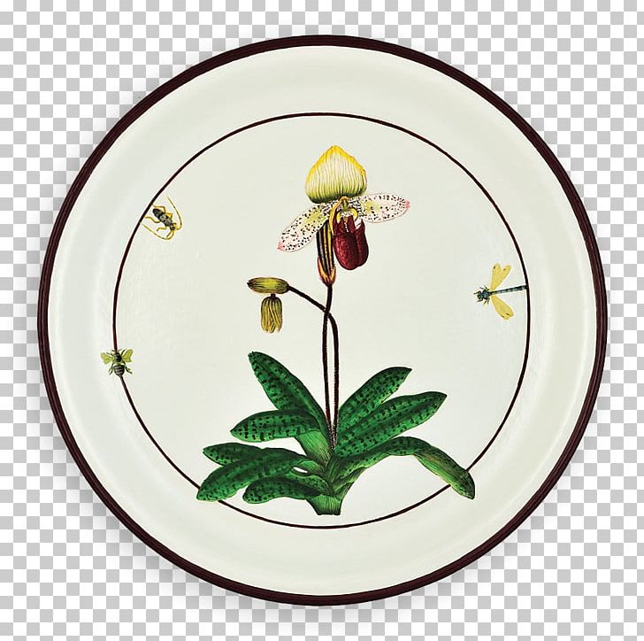 Plate Tray Slipper Orchids Tableware Pillow PNG, Clipart,  Free PNG Download