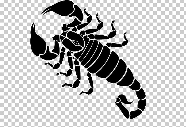 Scorpion Henna Mehndi Tattoo Constellation PNG, Clipart, Art, Arthropod, Astronomy, Black And White, Constellation Free PNG Download