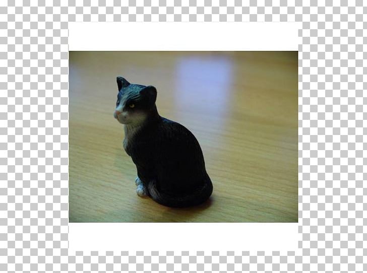Whiskers Cat PNG, Clipart, Animals, Black Cat, Carnivoran, Cat, Cat Like Mammal Free PNG Download