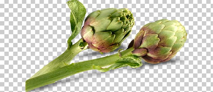 Artichoke Carciofi Alla Romana Carciofi Alla Giudia Vegetable Veggie Burger PNG, Clipart, Artichoke, Bari Dialect, Carciofi Alla Giudia, Carciofi Alla Romana, Carton Free PNG Download