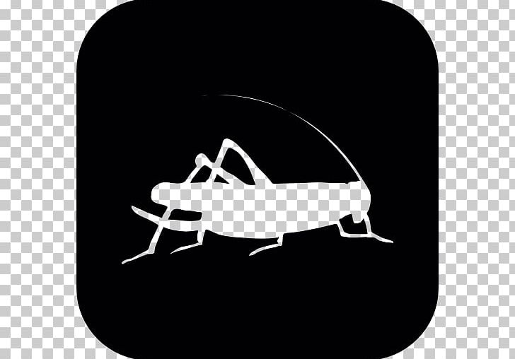 Insect Locust Silhouette Cricket Pest PNG, Clipart, Aircraft, Animals, Black, Black And White, Computer Icons Free PNG Download