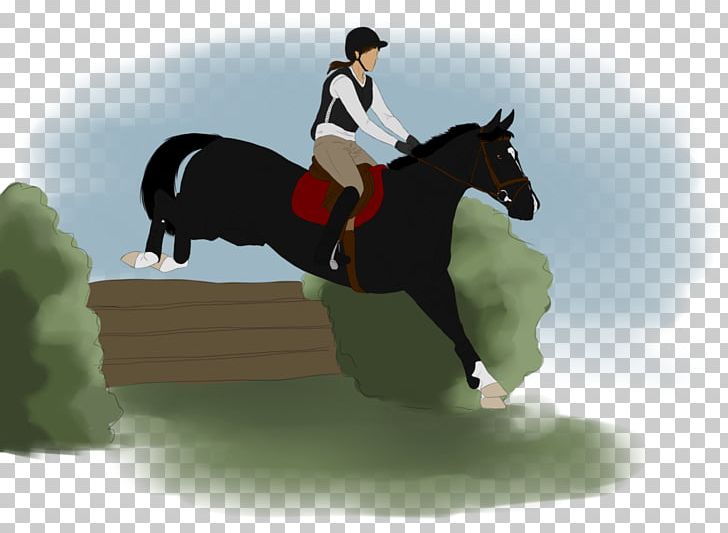 Show Jumping Stallion Hunt Seat Eventing Rein PNG, Clipart, Bridle, Crosscountry Equestrianism, Cross Country Equestrianism, English Riding, Equestrian Free PNG Download
