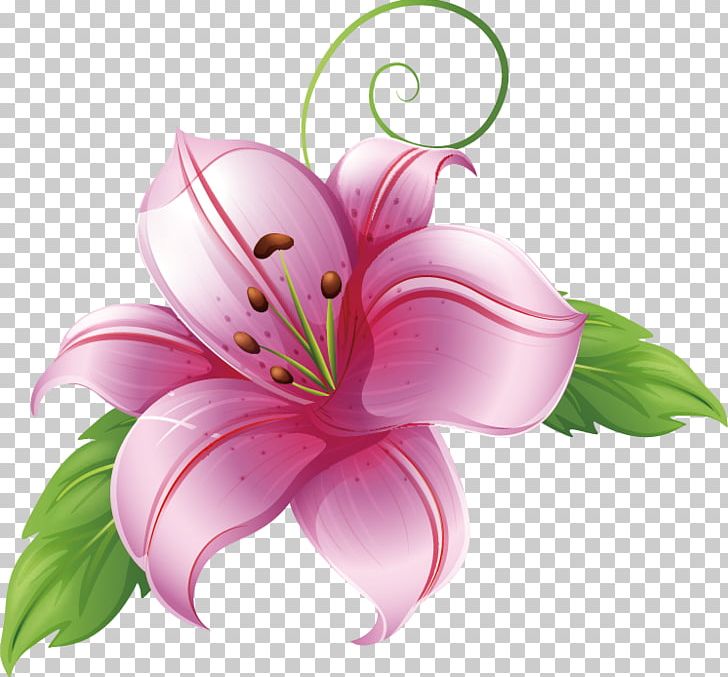 Drawing Stock Photography PNG, Clipart, Cut Flowers, Drawing, Fleurdelis, Floral Design, Floristry Free PNG Download
