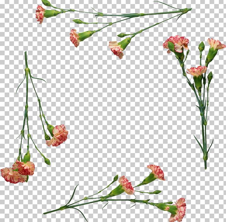 Floral Design November Of The Heart Cut Flowers Carnation PNG, Clipart, Branch, Carnation, Cut Flowers, Flora, Floral Design Free PNG Download