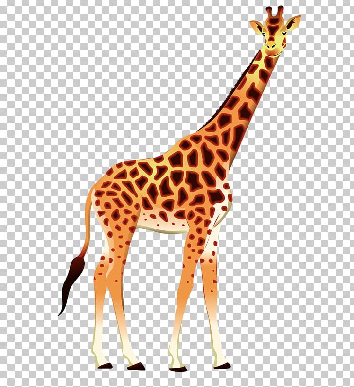 Giraffe Okapi Animal PNG, Clipart, Animal Figure, Animals, Cartoon, Cartoon Giraffe, Creative Free PNG Download