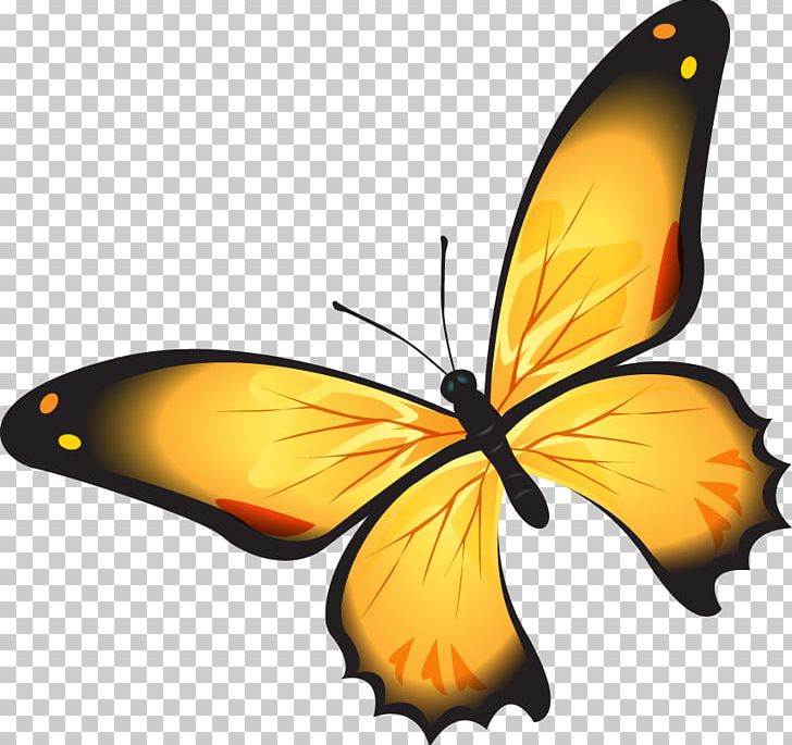 Monarch Butterfly Pieridae Brush-footed Butterflies PNG, Clipart,  Free PNG Download