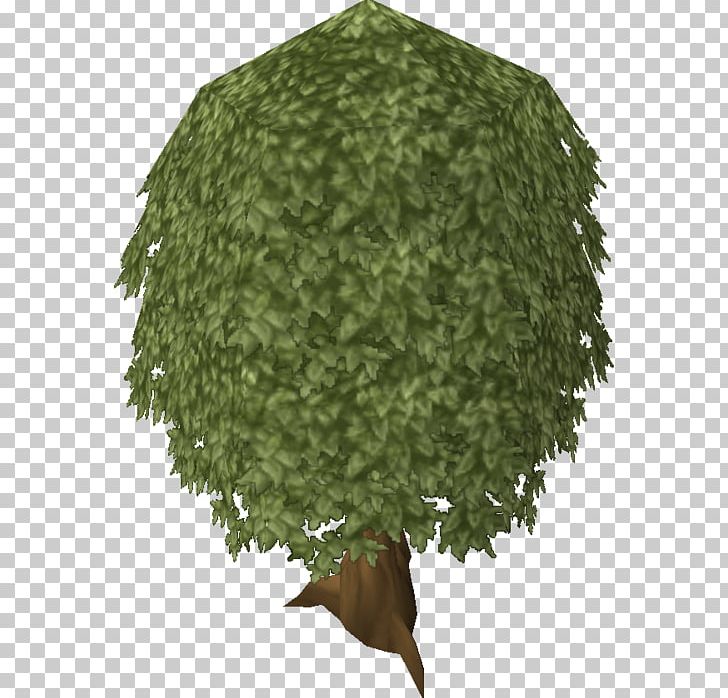 Tree Oak RuneScape Plant PNG, Clipart, Ash, Askur, Camouflage, Christmas Tree, Drawing Free PNG Download