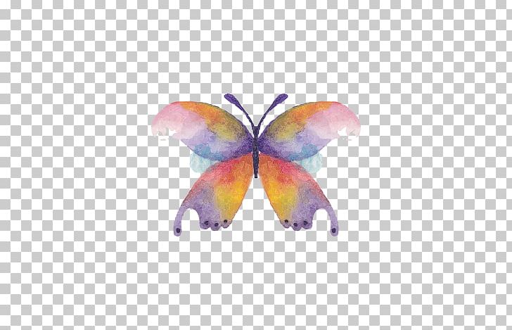 Butterfly Watercolor Painting Drawing PNG, Clipart, Butterflies, Butterflies And Moths, Butterfly Group, Butterfly Wings, Color Free PNG Download