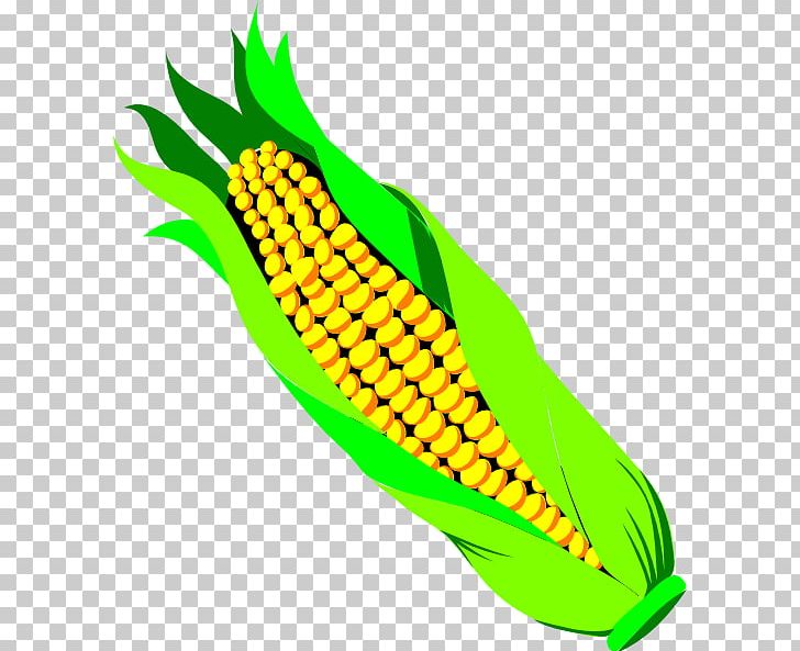 Corn On The Cob Candy Corn Vegetable Sweet Corn PNG, Clipart, Bell Pepper, Candy Corn, Commodity, Corn On The Cob, Food Free PNG Download