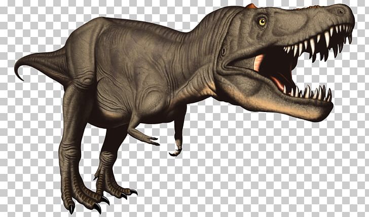Jurassic Park III: Park Builder Tyrannosaurus Rex Styracosaurus Giganotosaurus Stegosaurus PNG, Clipart, Builder, Chasmosaurus, Dinosaur, Extinction, Fauna Free PNG Download