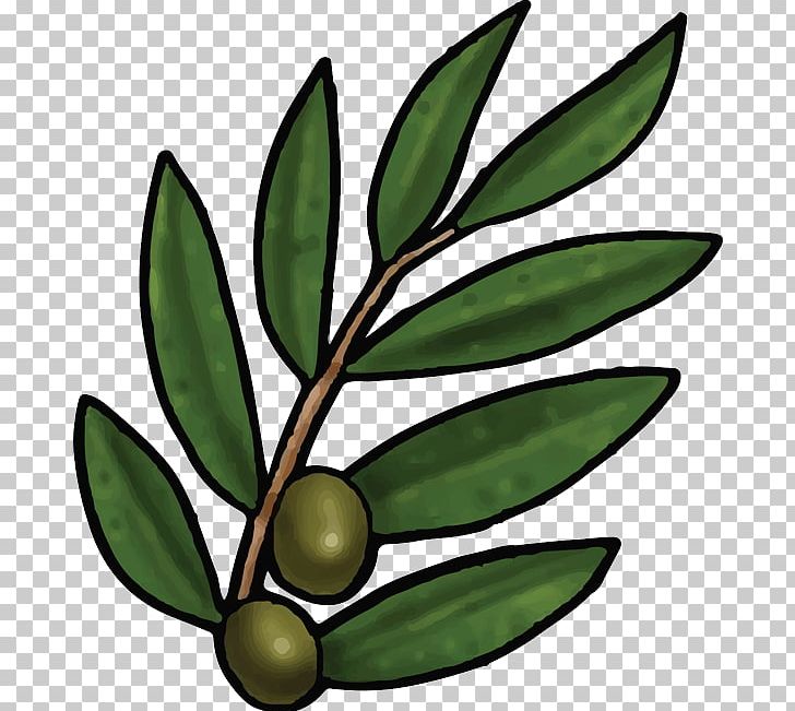 Bible Olive Leaf Olive Leaf Olive Branch PNG, Clipart, Bible, Bible Story, Cay, Chia, Christianity Free PNG Download