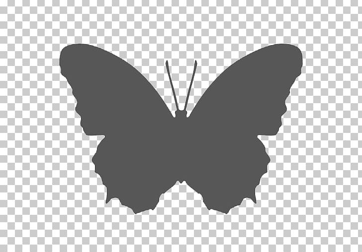 Butterfly Computer Icons PNG, Clipart, Black And White, Brush Footed Butterfly, Butterflies And Moths, Butterfly, Computer Icons Free PNG Download