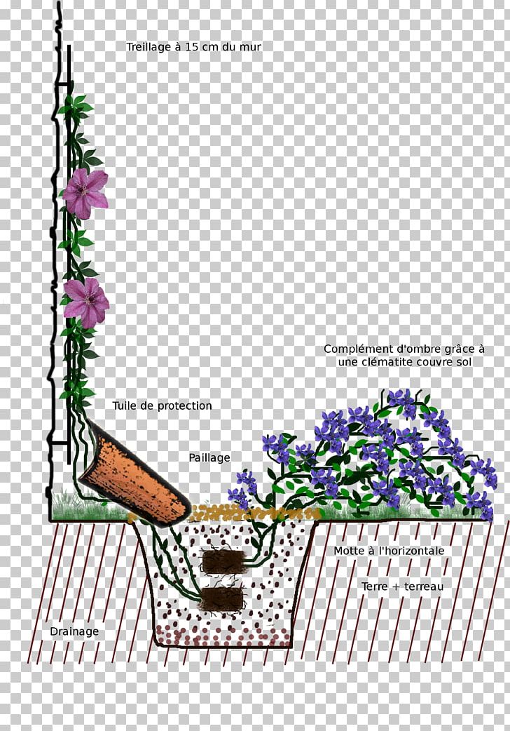 Plantation Leather Flower Trellis Garden PNG, Clipart, Art, Flora, Floral Design, Flower, Flowering Plant Free PNG Download