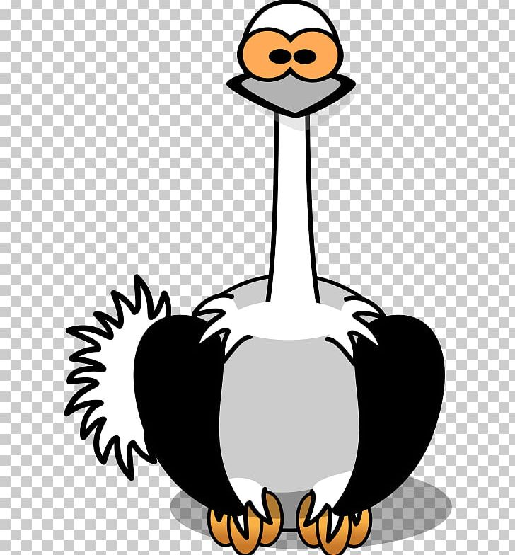 Common Ostrich Bird Cartoon PNG, Clipart, Animals, Animation, Artwork, Beak, Bird Free PNG Download