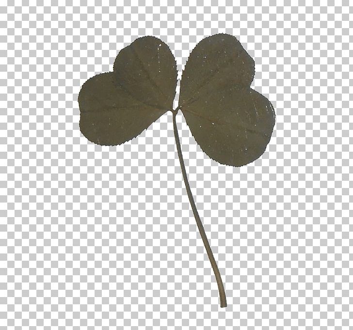 Four-leaf Clover Happiness Red Clover Amulet Symbol PNG, Clipart, Amulet, Clover, Fourleaf Clover, Happiness, Information Free PNG Download