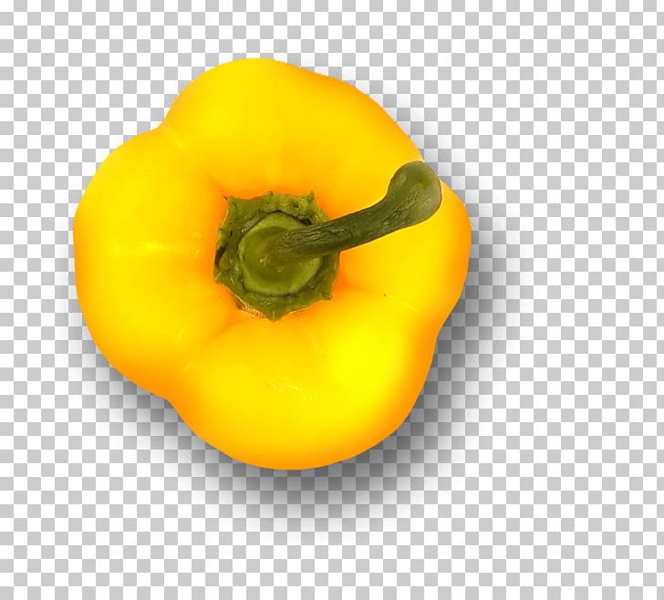 Habanero Patty Pan Yellow Pepper Bell Pepper Chili Pepper PNG, Clipart, Bell Pepper, Bell Peppers And Chili Peppers, Bush Tomato, Chili Pepper, Cucurbita Free PNG Download