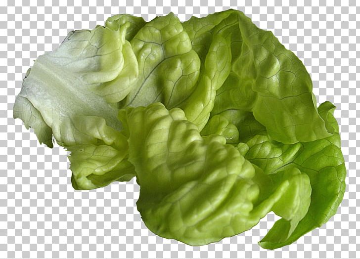 Romaine Lettuce PNG, Clipart, Flac, Food, Leaf, Leaf Vegetable, Lettuce Free PNG Download