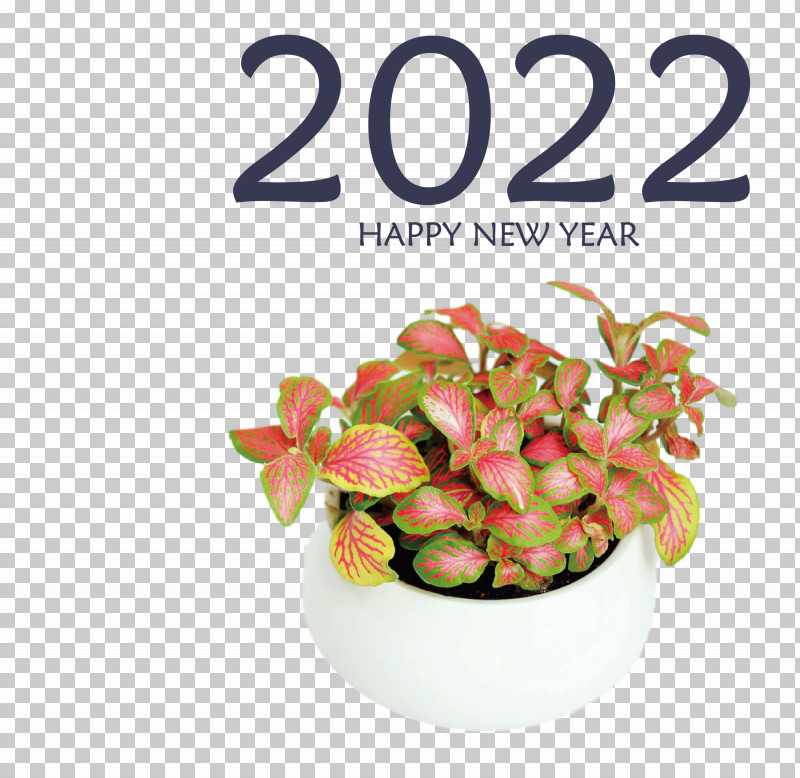 2022 Happy New Year 2022 New Year 2022 PNG, Clipart, Fittonia, Flowerpot, Houseplant, Humidity, Light Free PNG Download