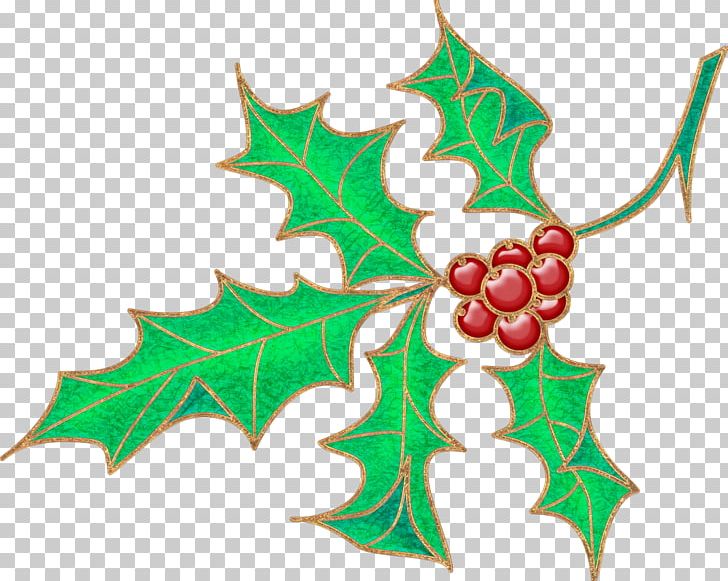 Holly Aquifoliales Christmas Ornament PNG, Clipart, Aquifoliaceae, Aquifoliales, Branch, Branching, Christmas Free PNG Download