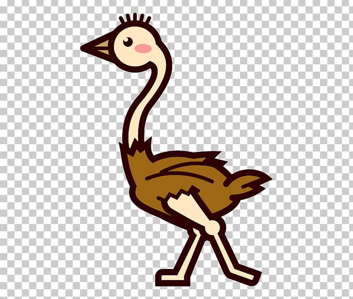 Common Ostrich Flightless Bird PNG, Clipart, Animal, Animal Zoo, Artwork, Beak, Bird Free PNG Download