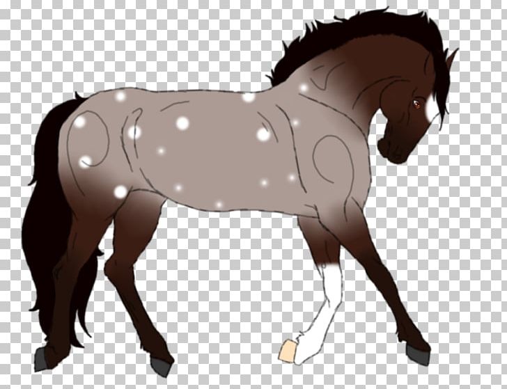 Foal Mustang Mare Stallion Bridle PNG, Clipart, Bridle, Colt, Foal, Halter, Horse Free PNG Download
