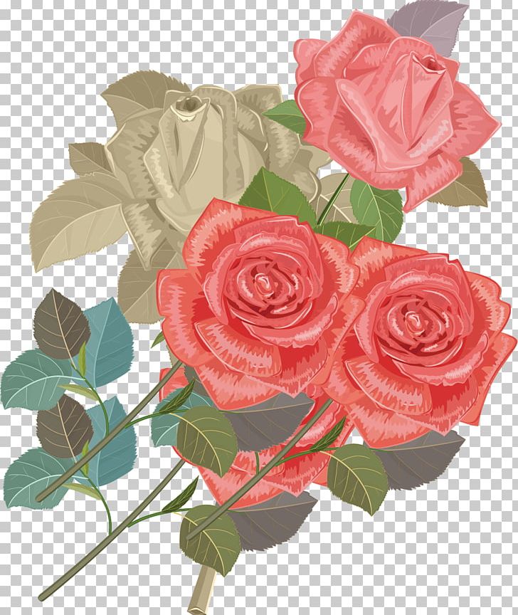 Garden Roses Centifolia Roses Beach Rose Flower Bouquet PNG, Clipart, Artificial Flower, Creative Artwork, Creative Background, Creative Logo Design, Floral Design Free PNG Download