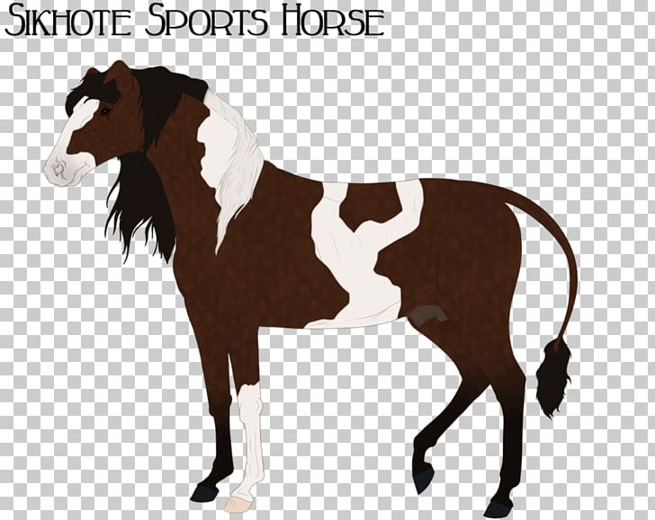 Mustang Foal Stallion Colt Rein PNG, Clipart, Bridle, Colt, Foal, Goat, Goats Free PNG Download