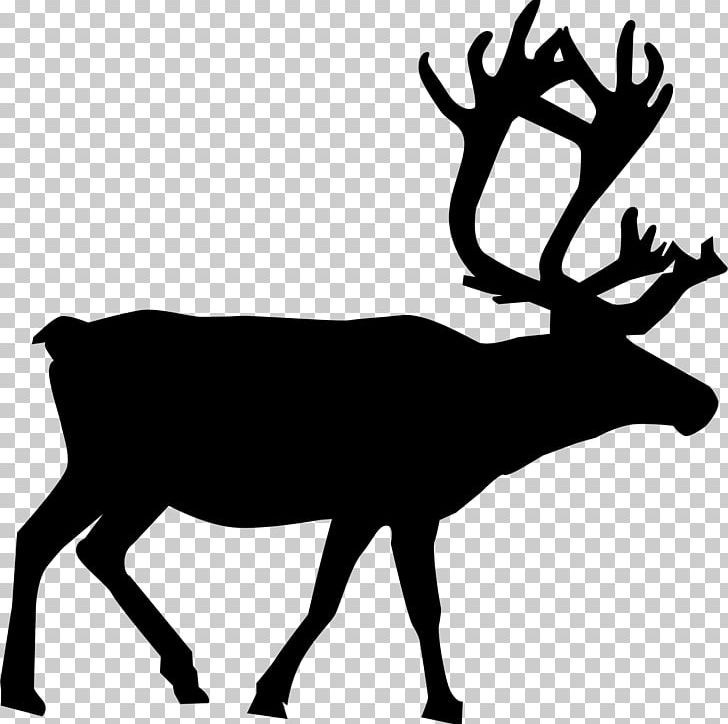 Reindeer Rudolph Santa Claus PNG, Clipart, Animals, Antler, Black And White, Christmas, Clip Free PNG Download