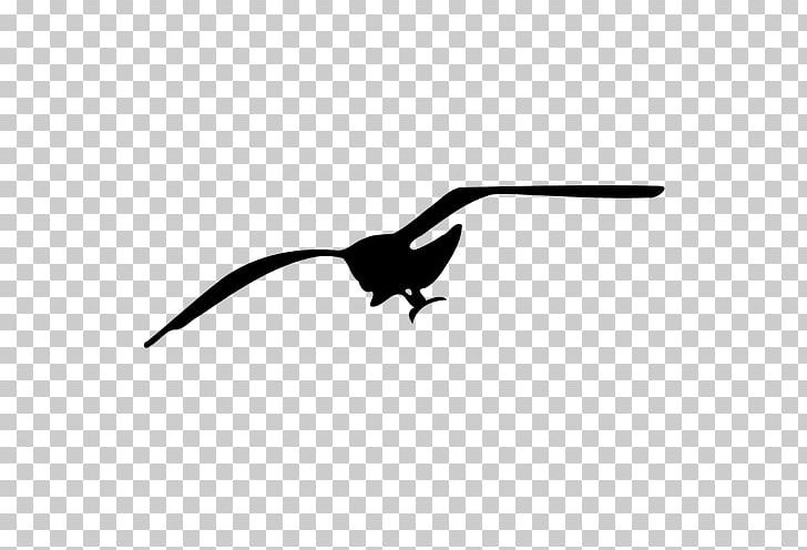 Gulls Drawing PNG, Clipart, Beak, Bird, Black And White, Clip Art, Computer Icons Free PNG Download