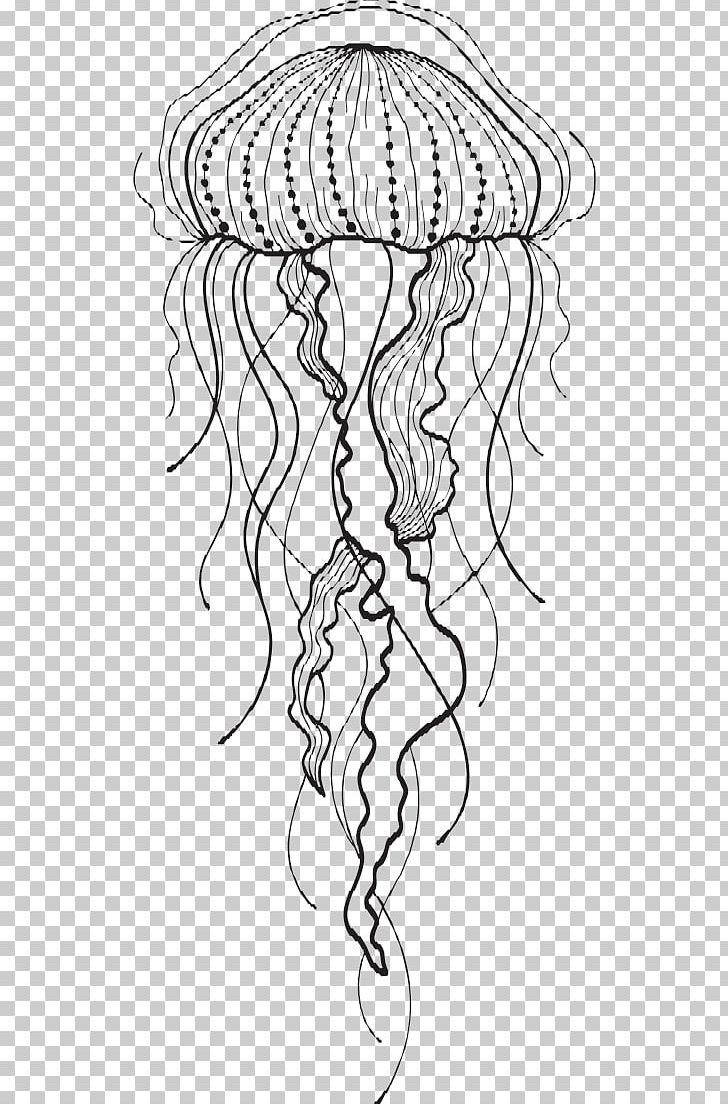 Blue Jellyfish Aurelia Aurita Drawing PNG, Clipart, Art, Artwork, Aurelia, Black, Black And White Free PNG Download