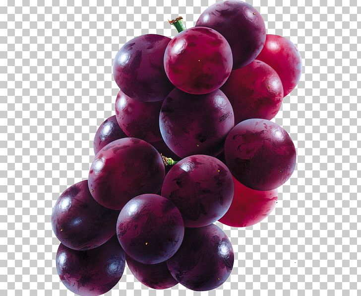 Concord Grape Wine Juice PNG, Clipart, Animals, Apple, Berry, Boar, Concord Grape Free PNG Download