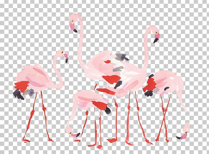 Flamingos Bird PNG, Clipart, Balloon Cartoon, Beak, Bird, Birds, Cartoon Free PNG Download