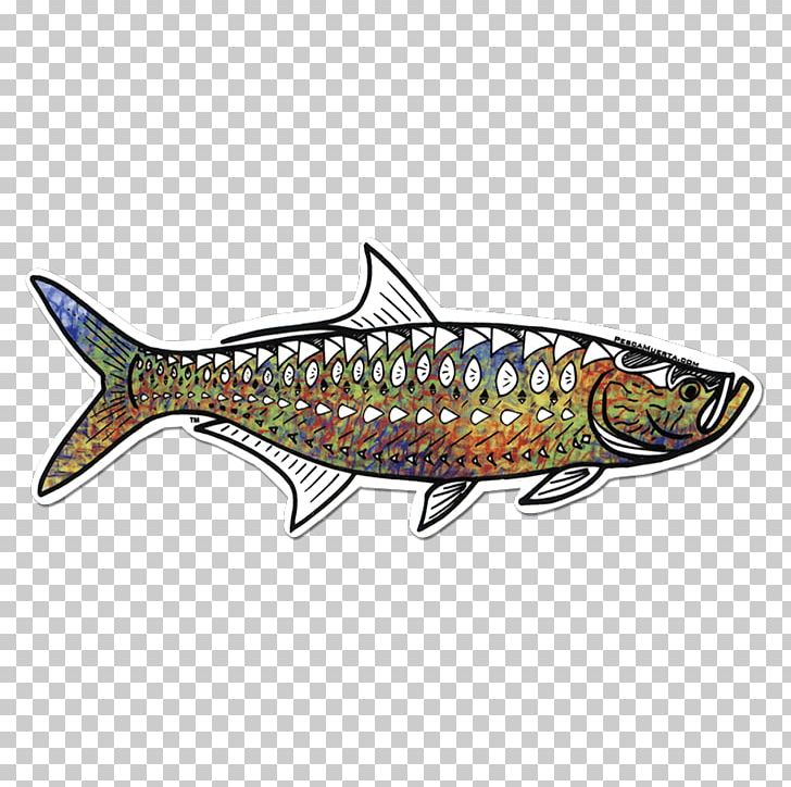Sardine Spoon Lure Northern Pike Fishing PNG, Clipart, Art, Atlantic Tarpon, Bait, Bony Fish, Decal Free PNG Download