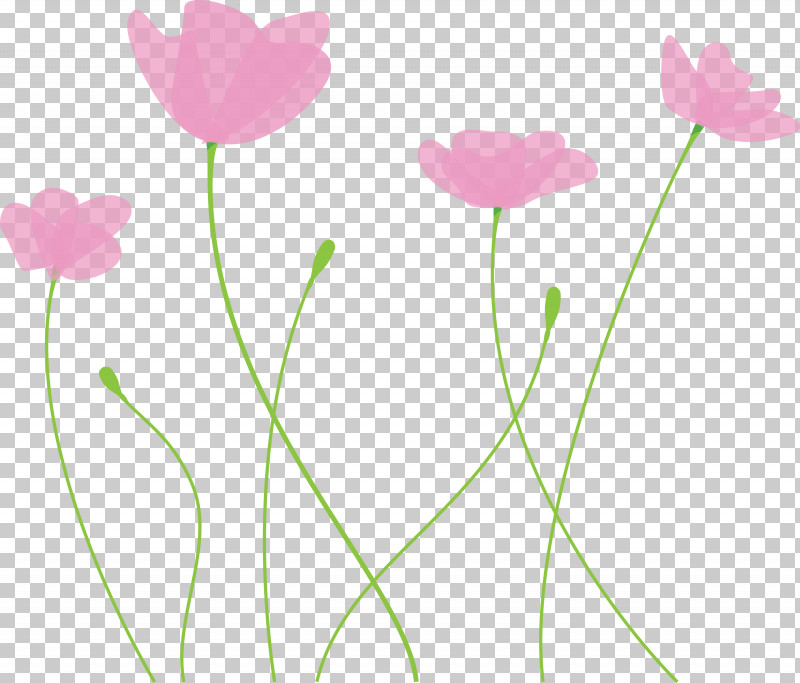 Poppy Flower PNG, Clipart, Flower, Pedicel, Petal, Pink, Plant Free PNG Download