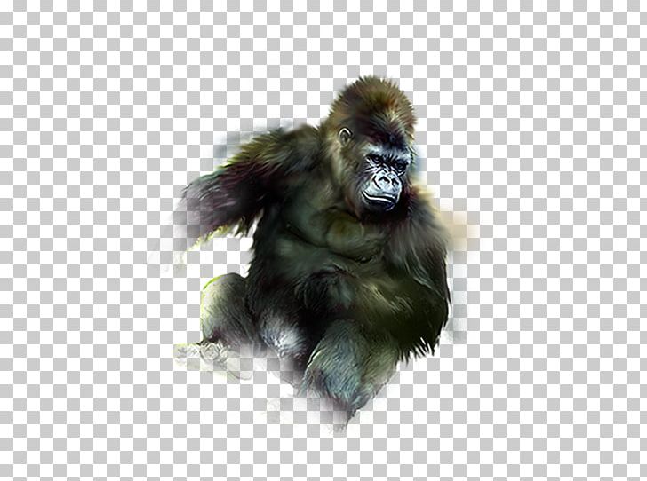 Gorilla Orangutan Gibbon Common Chimpanzee PNG, Clipart, Animal, Animals, Ape, Elephant, Encapsulated Postscript Free PNG Download