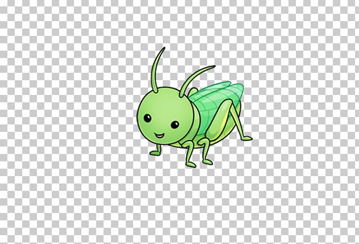 Grasshopper Insect Cricket Cuteness PNG, Clipart, Animals, Cartoon, Cute  Insects, Drawing, Element Free PNG Download