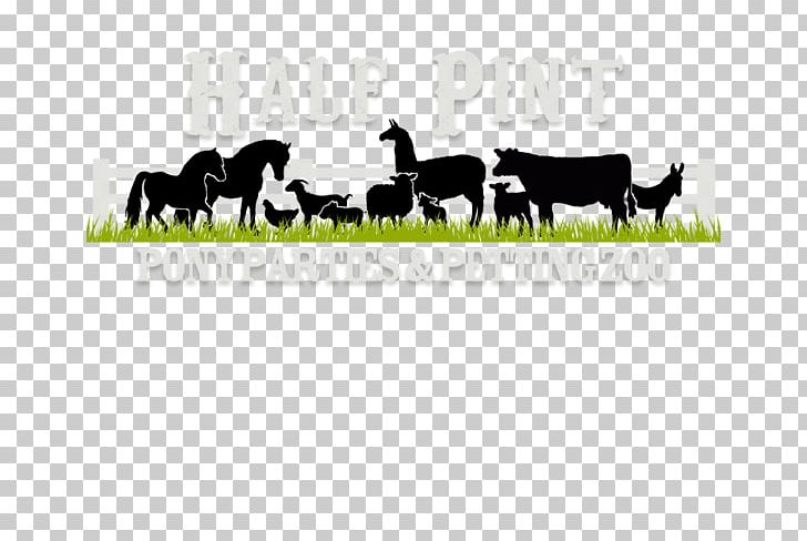 Half Pint Pony Parties & Petting Zoo Bullard Cattle American Miniature Horse PNG, Clipart, American Miniature Horse, Area, Bullard, Cattle, Cattle Like Mammal Free PNG Download