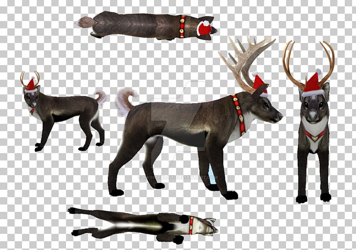 Reindeer Wildlife PNG, Clipart, Antler, Cartoon, Deer, Horn, Nose Free PNG Download