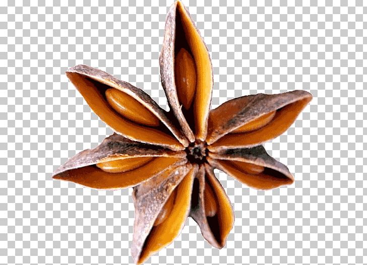 Spice Star Anise Flavor Chopped PNG, Clipart, Anise, Chopped, Flavor, Ingredient, Others Free PNG Download