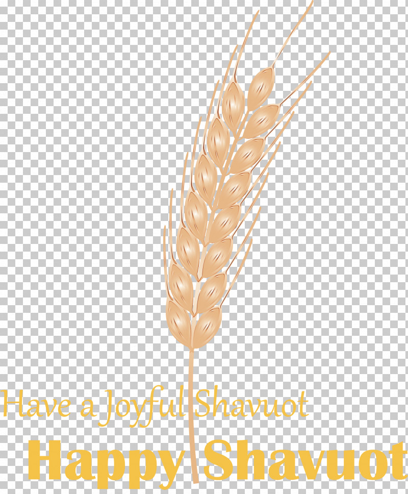 Feather PNG, Clipart, Feather, Food Grain, Grass Family, Happy Shavuot, Paint Free PNG Download