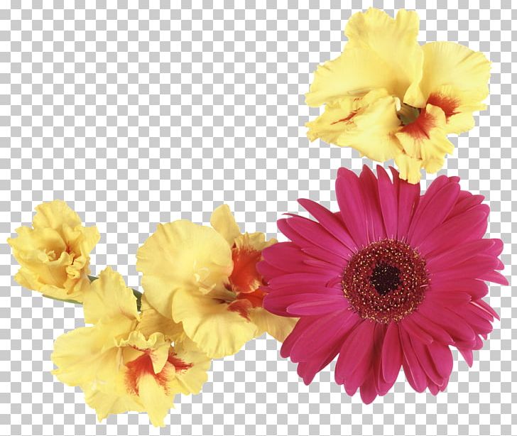 Flower Floristry Yellow Photography PNG, Clipart, Black And White, Chrysanths, Cut Flowers, Daisy Family, Floral Design Free PNG Download