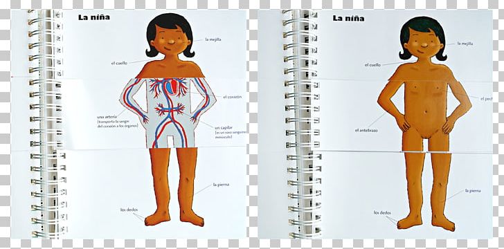 Human Body Homo Sapiens Curiosity Human Behavior PNG, Clipart, Abdomen, Back, Body, Book, Child Free PNG Download
